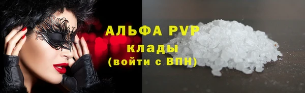 амф Аркадак