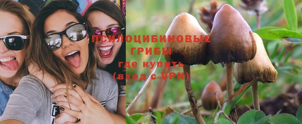 амф Аркадак