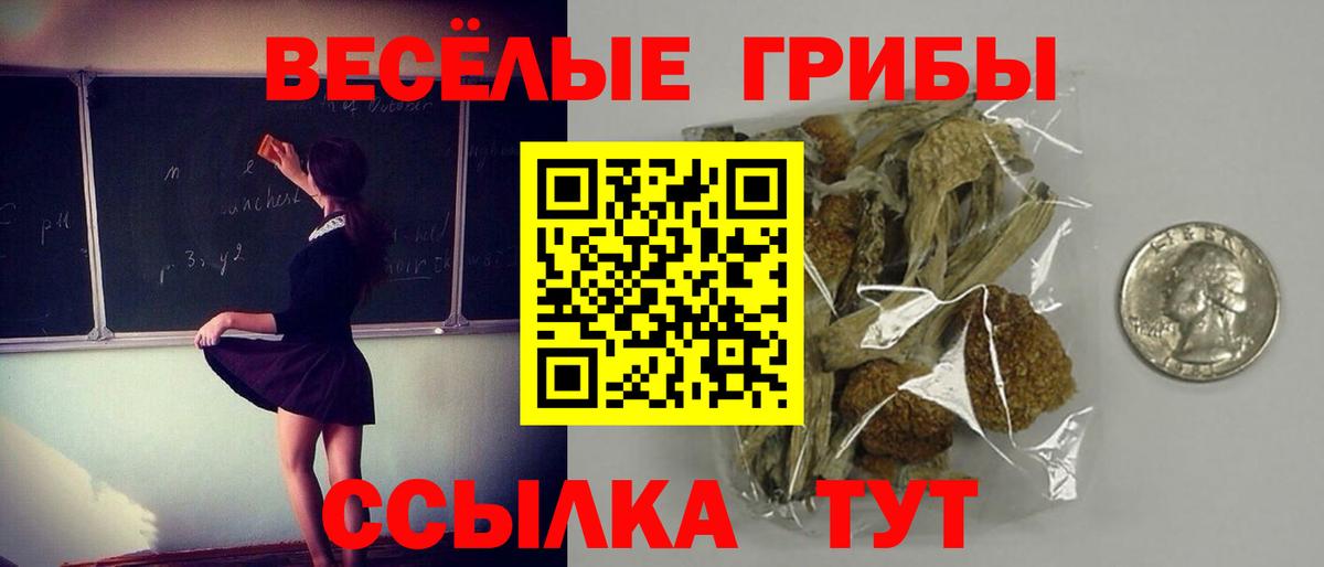 Псилоцибиновые грибы прущие грибы Дедовск